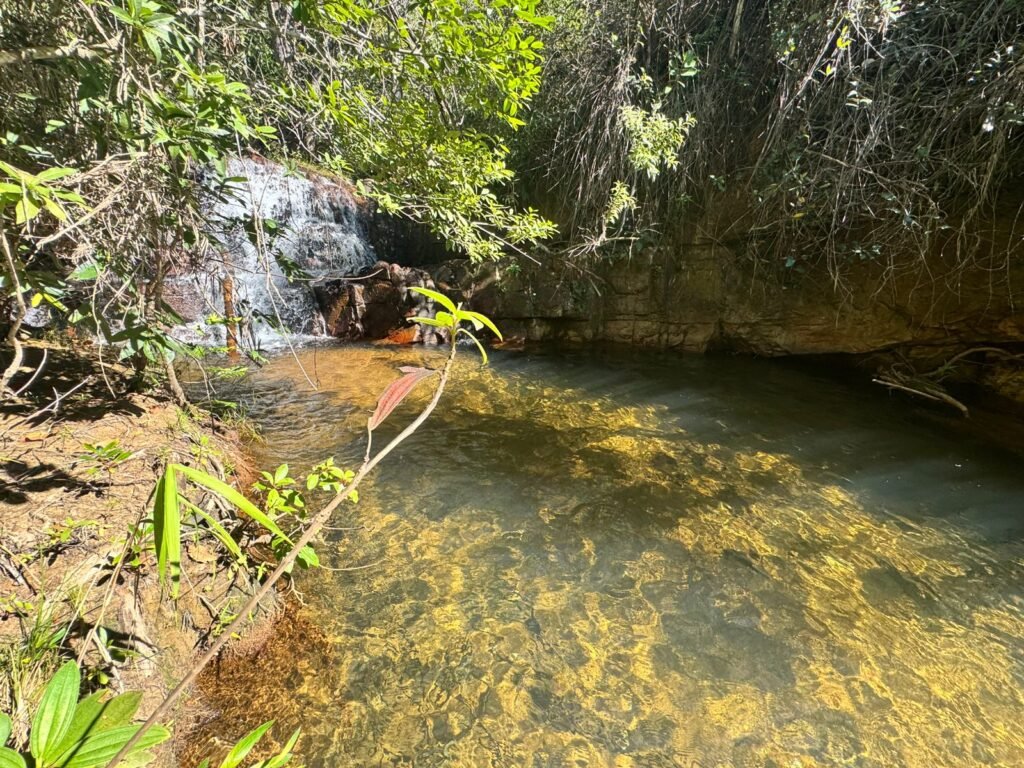 Fazenda 695ha – Nascente – Cachoeira – aprox. 23 km de Alto Paraíso de Goiás, 100% Documentada