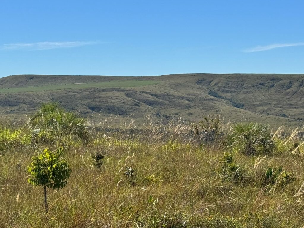 Fazenda 695ha – Nascente – Cachoeira – aprox. 23 km de Alto Paraíso de Goiás, 100% Documentada