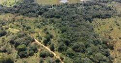 Fazenda 695m – Nascente – Cachoeira – aprox. 23 km de Alto Paraíso de Goiás, 100% Documentada Fazenda 695m – Nascente – Cachoeira – aprox. 23 km de Alto Paraíso de Goiás, 100% Documentada