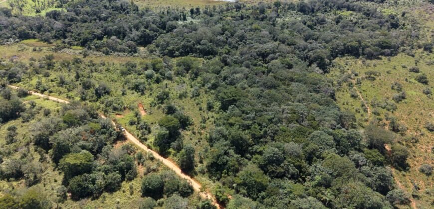 Fazenda 695m – Nascente – Cachoeira – aprox. 23 km de Alto Paraíso de Goiás, 100% Documentada