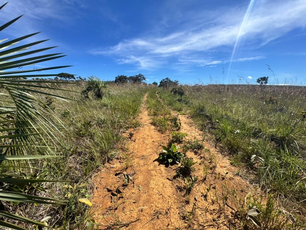 Fazenda 695ha – Nascente – Cachoeira – aprox. 23 km de Alto Paraíso de Goiás, 100% Documentada
