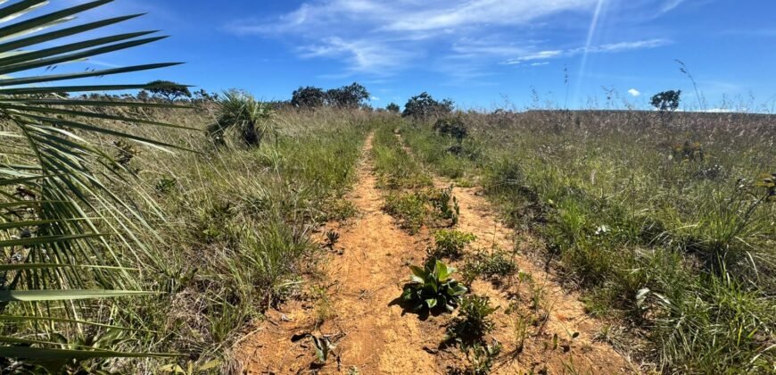 Fazenda 695m – Nascente – Cachoeira – aprox. 23 km de Alto Paraíso de Goiás, 100% Documentada
