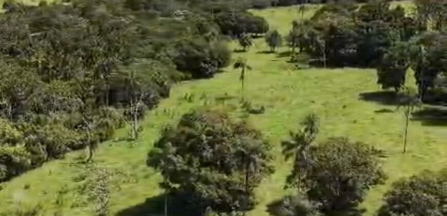 Fazenda 695m – Nascente – Cachoeira – aprox. 23 km de Alto Paraíso de Goiás, 100% Documentada