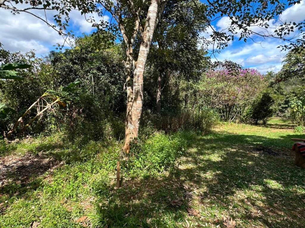 Lote 830m2 – Rio – Moinho – Alto Paraíso de Goiás