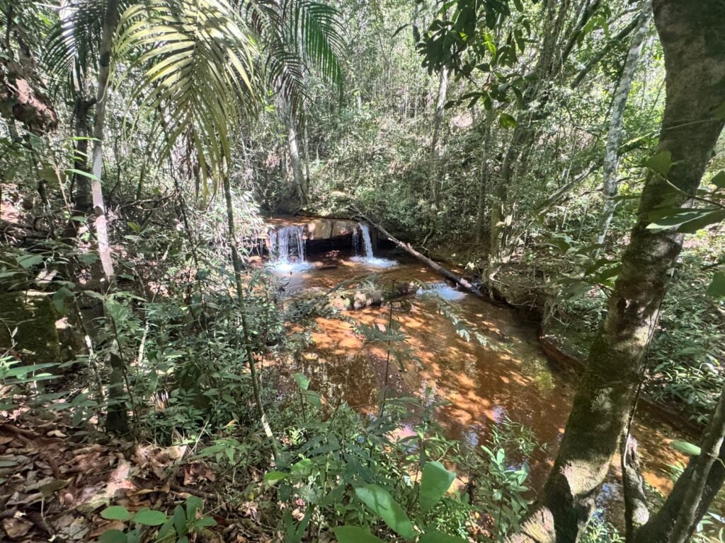 Fazenda 695ha – Nascente – Cachoeira – aprox. 23 km de Alto Paraíso de Goiás, 100% Documentada