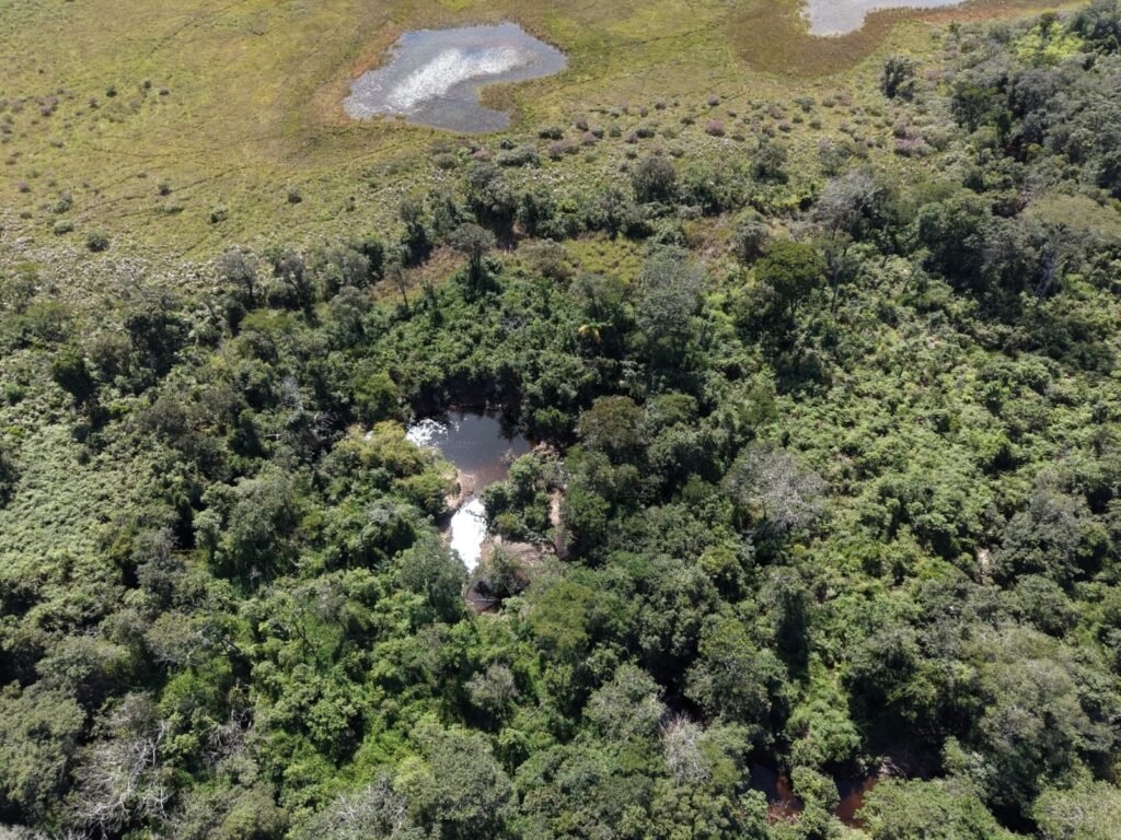 Fazenda 695ha – Nascente – Cachoeira – aprox. 23 km de Alto Paraíso de Goiás, 100% Documentada
