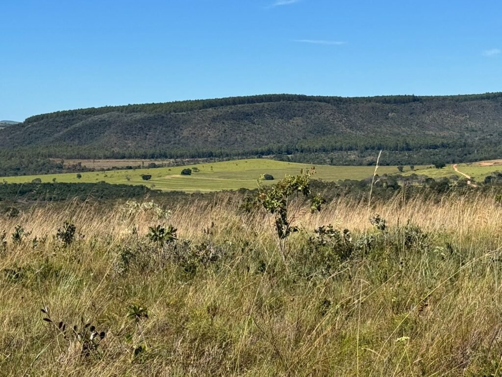 Fazenda 695ha – Nascente – Cachoeira – aprox. 23 km de Alto Paraíso de Goiás, 100% Documentada