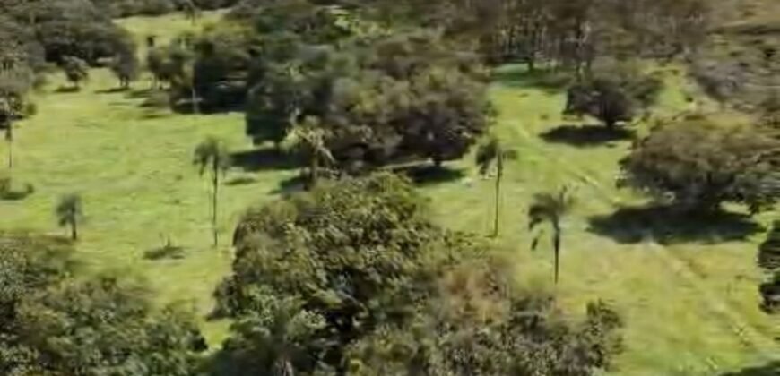 Fazenda 695m – Nascente – Cachoeira – aprox. 23 km de Alto Paraíso de Goiás, 100% Documentada