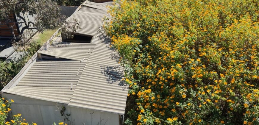 Excelente Lote – Rua das Mangueiras – Eldorado 2 – Alto Paraíso de Goiás