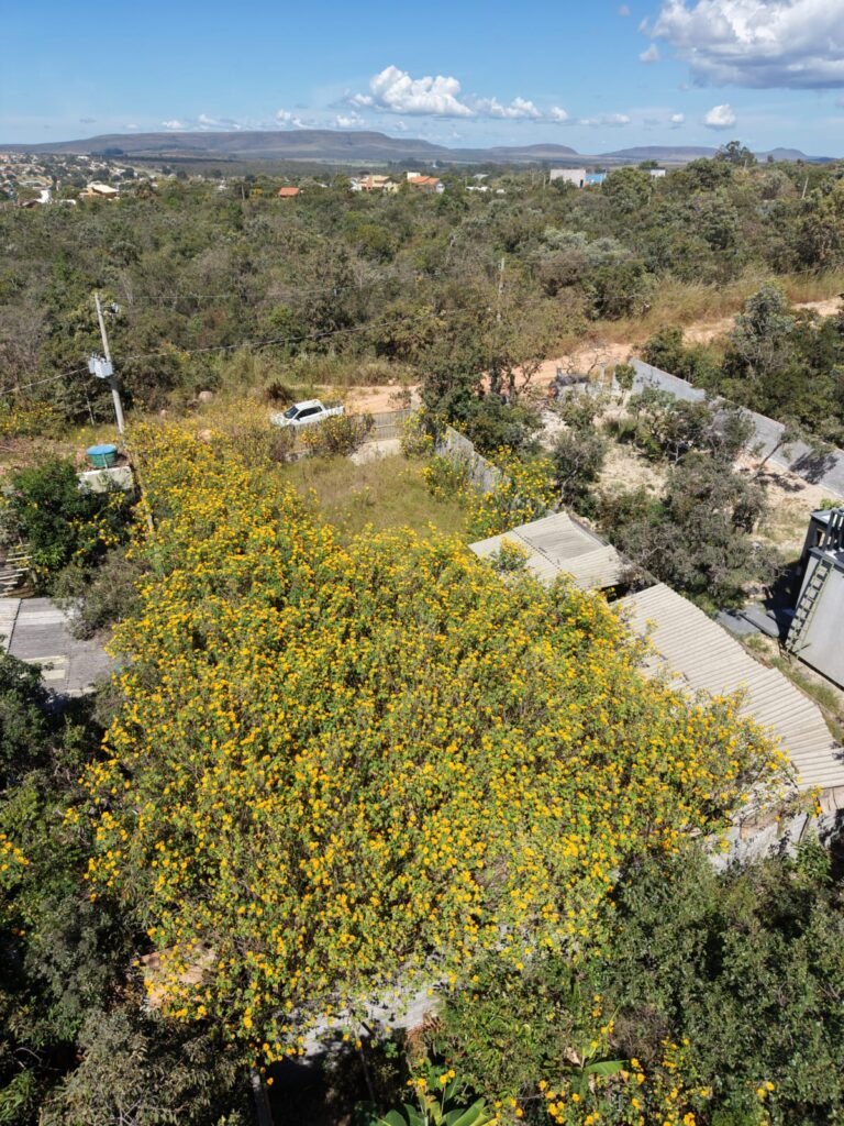 Excelente Lote – Eldorado 2 – Rua das Mangueira – Alto Paraíso de Goiás