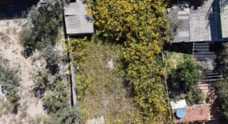 Excelente Lote – Eldorado 2 – Rua das Mangueira – Alto Paraíso de Goiás Excelente Lote – Eldorado 2 – Rua das Mangueira – Alto Paraíso de Goiás
