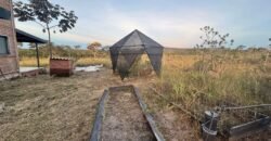 Vende-se Excelente Chácara – Casa – Rio – Aconchegante – Vale Verde – Alto Paraíso de Goiás Vende-se Excelente Chácara – Casa – Rio – Aconchegante – Vale Verde – Alto Paraíso de Goiás