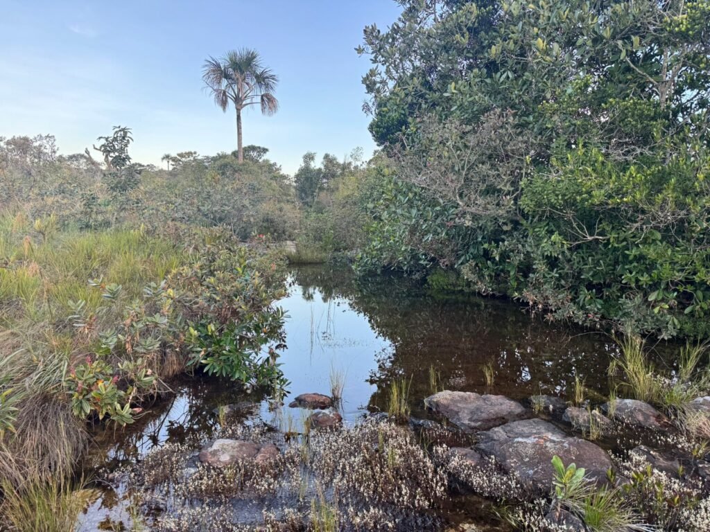 Vende-se Excelente Chácara – Casa – Rio – Aconchegante – Vale Verde – Alto Paraíso de Goiás