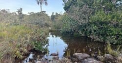 Vende-se Excelente Chácara – Casa – Rio – Aconchegante – Vale Verde – Alto Paraíso de Goiás Vende-se Excelente Chácara – Casa – Rio – Aconchegante – Vale Verde – Alto Paraíso de Goiás