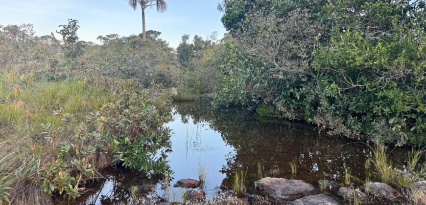 Vende-se Excelente Chácara – Casa – Rio – Aconchegante – Vale Verde – Alto Paraíso de Goiás