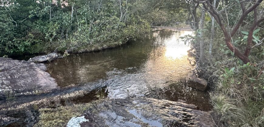 Vende-se Excelente Chácara – Casa – Rio – Aconchegante – Vale Verde – Alto Paraíso de Goiás