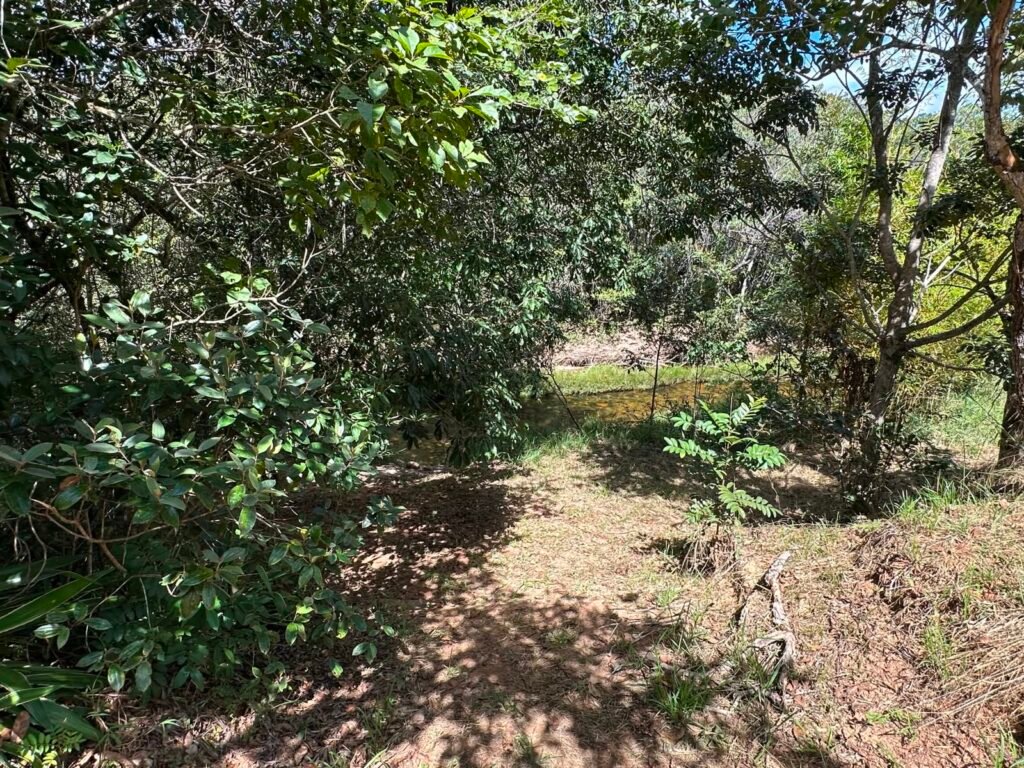 Lote 830m2 – Rio – Moinho – Alto Paraíso de Goiás