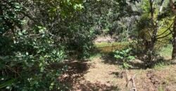 Lote 830m2 – Rio – Moinho – Alto Paraíso de Goiás
