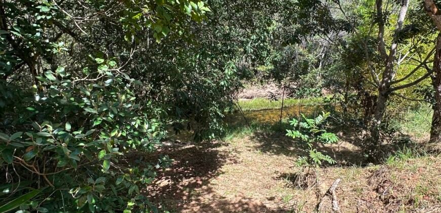 Lote 830m2 – Rio – Moinho – Alto Paraíso de Goiás
