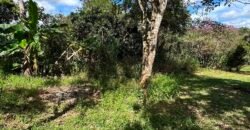 Lote 830m2 – Rio – Moinho – Alto Paraíso de Goiás