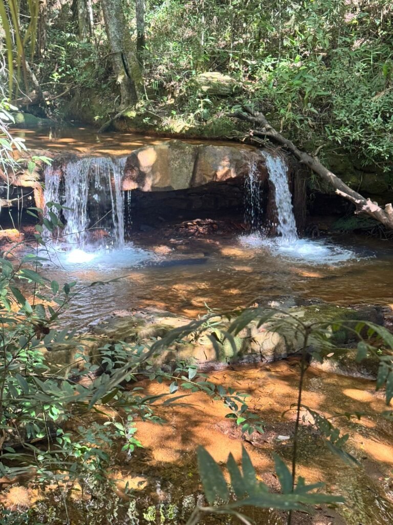 Fazenda 695ha – Nascente – Cachoeira – aprox. 23 km de Alto Paraíso de Goiás, 100% Documentada