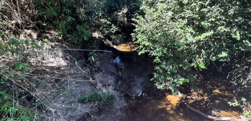 Fazenda 695m – Nascente – Cachoeira – aprox. 23 km de Alto Paraíso de Goiás, 100% Documentada
