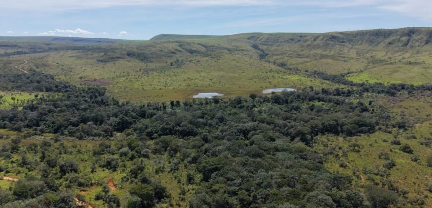 Fazenda 695m – Nascente – Cachoeira – aprox. 23 km de Alto Paraíso de Goiás, 100% Documentada