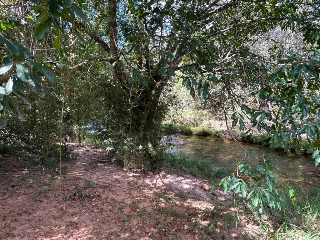 Lote 830m2 – Rio – Moinho – Alto Paraíso de Goiás