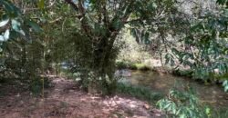 Lote 830m2 – Rio – Moinho – Alto Paraíso de Goiás