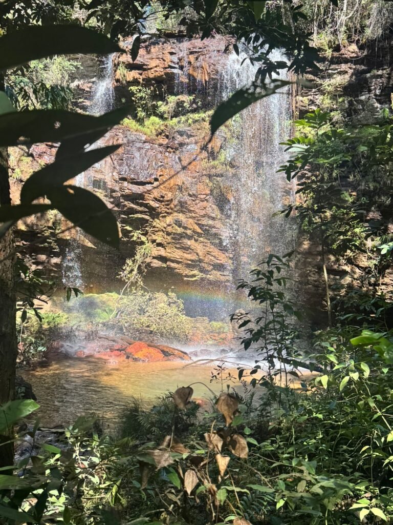 Fazenda 695ha – Nascente – Cachoeira – aprox. 23 km de Alto Paraíso de Goiás, 100% Documentada
