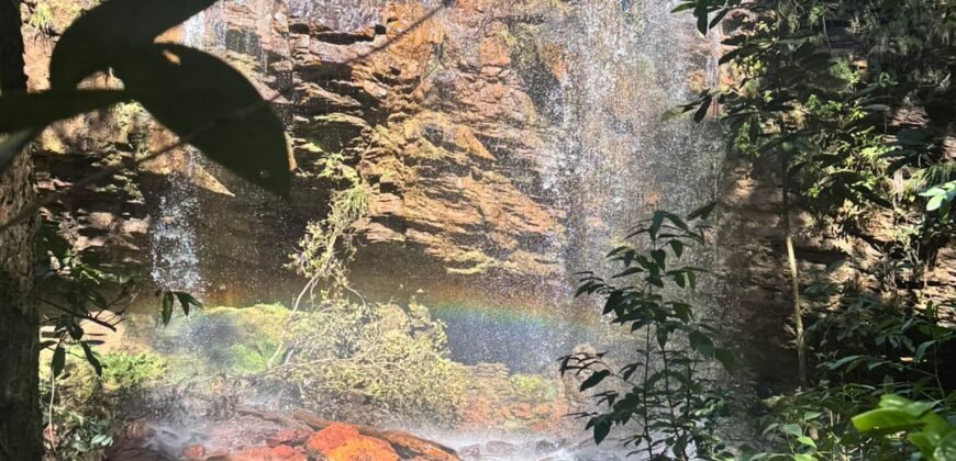 Fazenda 695m – Nascente – Cachoeira – aprox. 23 km de Alto Paraíso de Goiás, 100% Documentada