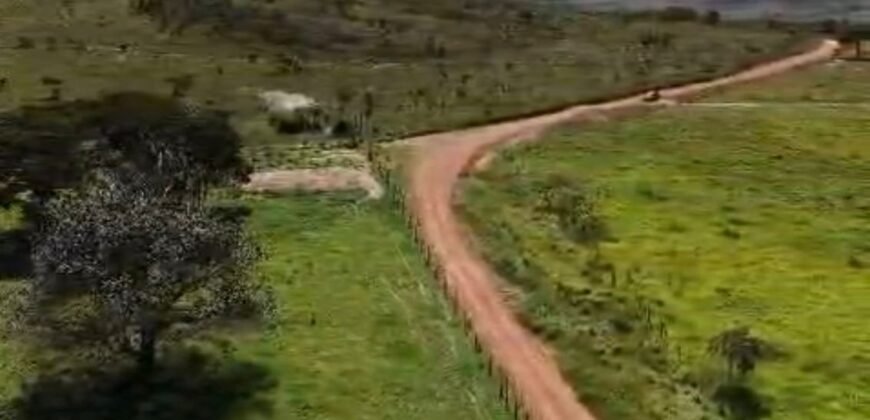 Fazenda 695m – Nascente – Cachoeira – aprox. 23 km de Alto Paraíso de Goiás, 100% Documentada