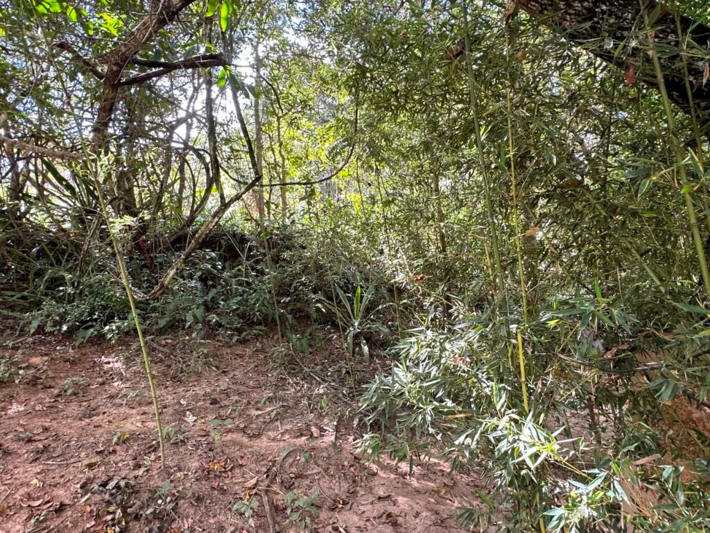 Lote 830m2 – Rio – Moinho – Alto Paraíso de Goiás