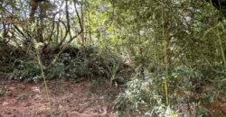 Lote 830m2 – Rio – Moinho – Alto Paraíso de Goiás