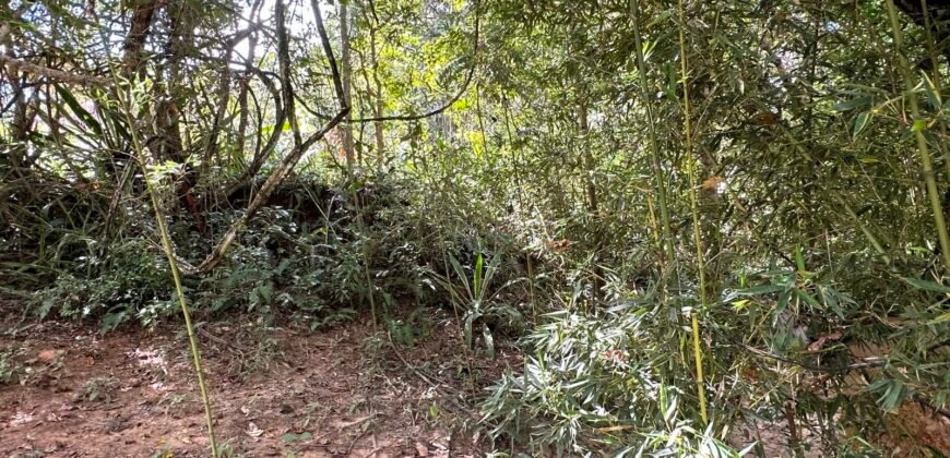 Lote 830m2 – Rio – Moinho – Alto Paraíso de Goiás