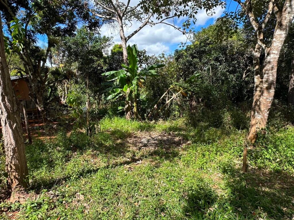 Lote 830m2 – Rio – Moinho – Alto Paraíso de Goiás