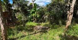 Lote 830m2 – Rio – Moinho – Alto Paraíso de Goiás
