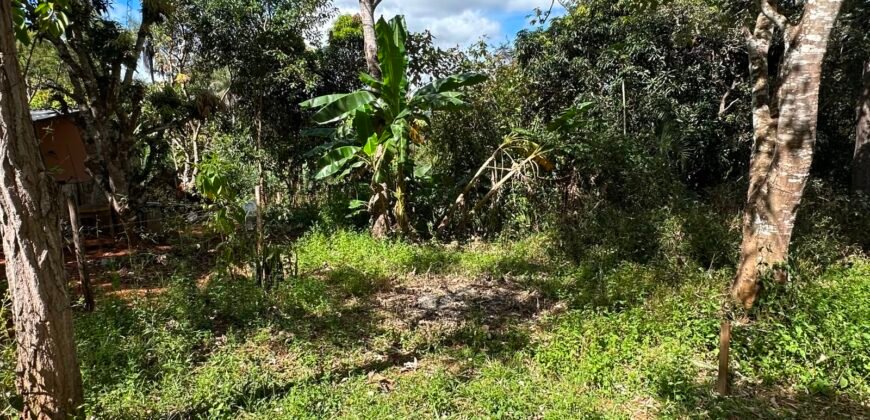 Lote 830m2 – Rio – Moinho – Alto Paraíso de Goiás