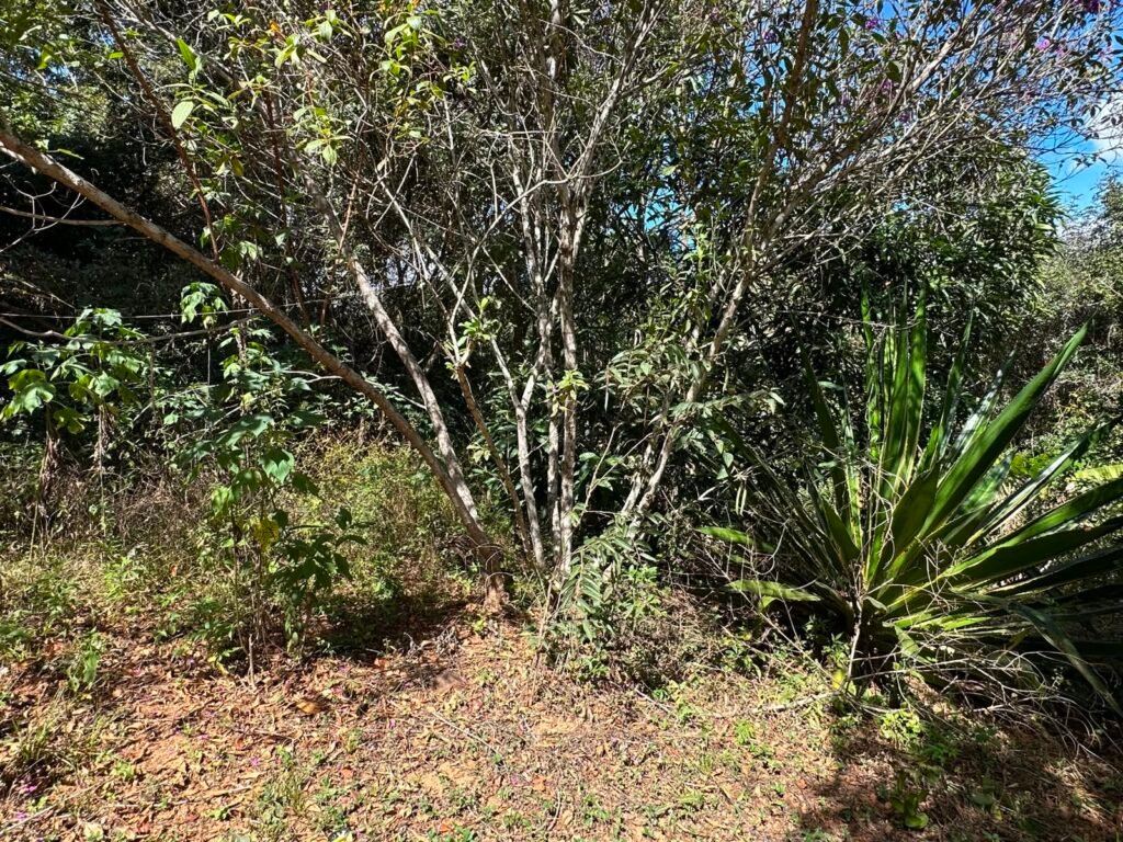 Lote 830m2 – Rio – Moinho – Alto Paraíso de Goiás