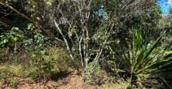 Lote 830m2 – Rio – Moinho – Alto Paraíso de Goiás
