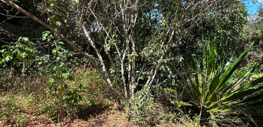 Lote 830m2 – Rio – Moinho – Alto Paraíso de Goiás