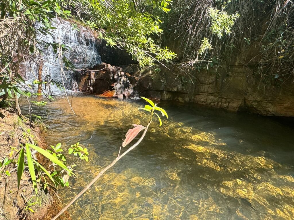 Fazenda 695ha – Nascente – Cachoeira – aprox. 23 km de Alto Paraíso de Goiás, 100% Documentada