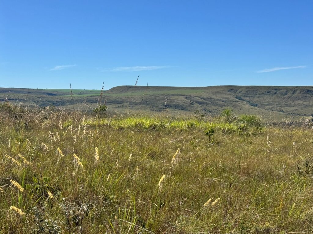 Fazenda 695ha – Nascente – Cachoeira – aprox. 23 km de Alto Paraíso de Goiás, 100% Documentada