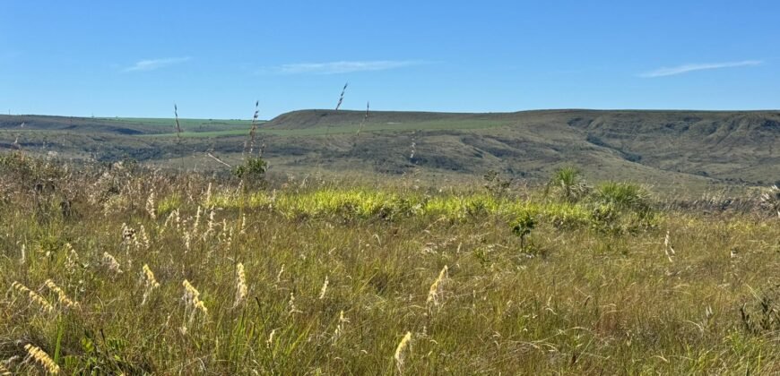 Fazenda 695m – Nascente – Cachoeira – aprox. 23 km de Alto Paraíso de Goiás, 100% Documentada