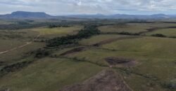 3 Lindas Chácaras com vista, a partir de R$ 350.000,00 – KM 12 – Alto Paraíso de Goiás. 3 Lindas Chácaras com vista, a partir de R$ 350.000,00 – KM 12 – Alto Paraíso de Goiás.
