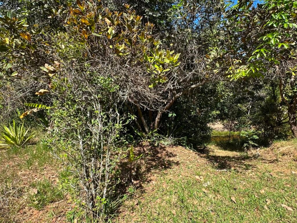 Lote 830m2 – Rio – Moinho – Alto Paraíso de Goiás