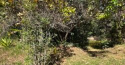 Lote 830m2 – Rio – Moinho – Alto Paraíso de Goiás