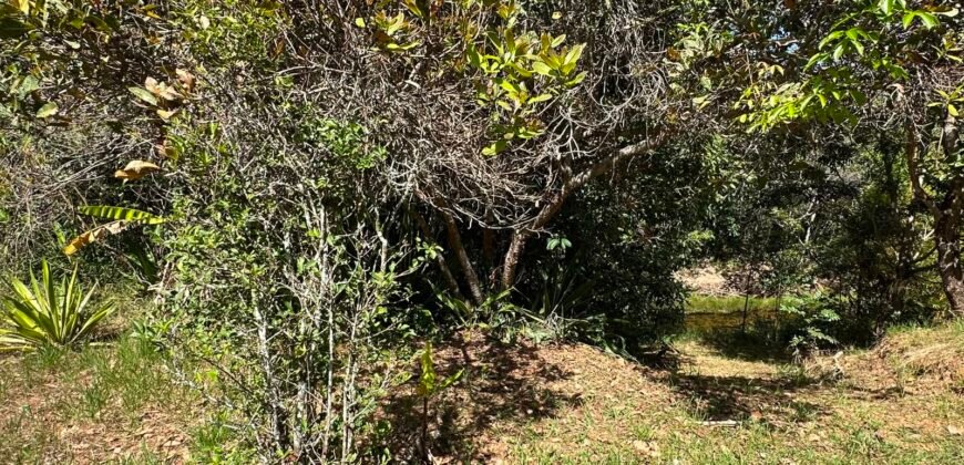Lote 830m2 – Rio – Moinho – Alto Paraíso de Goiás