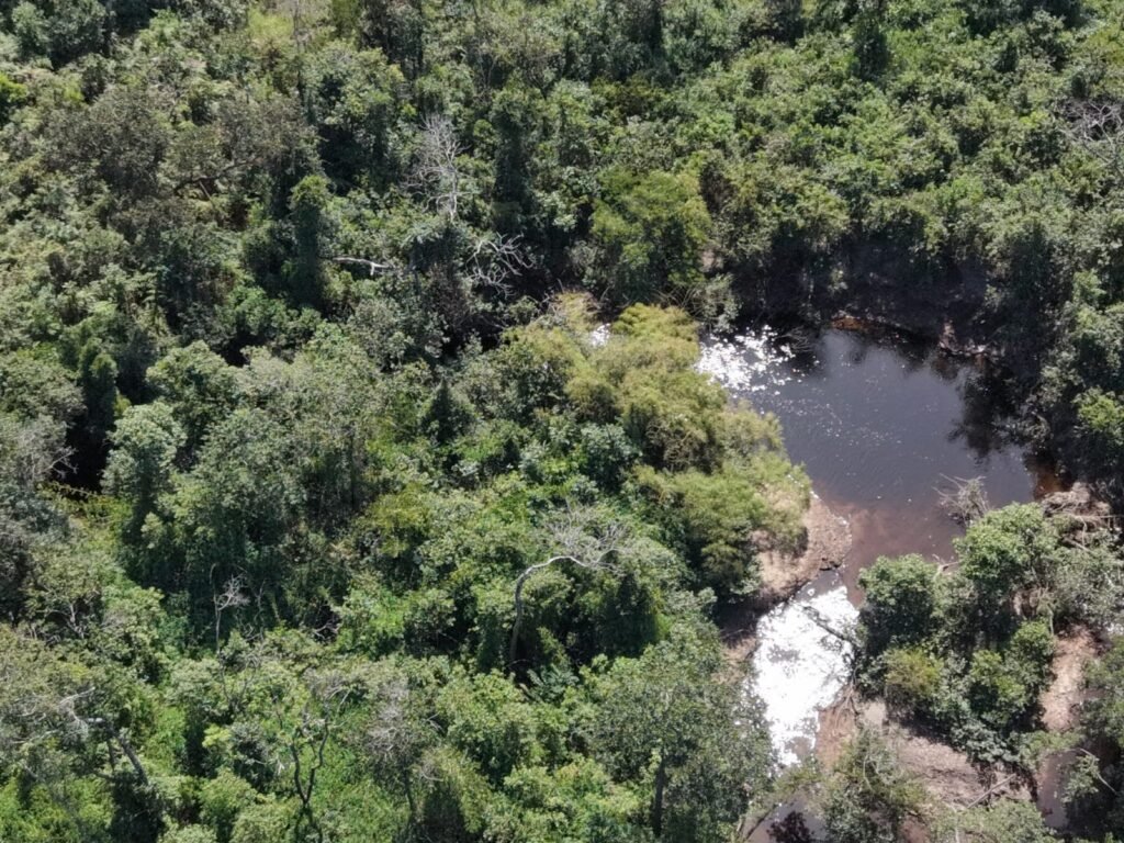 Fazenda 695ha – Nascente – Cachoeira – aprox. 23 km de Alto Paraíso de Goiás, 100% Documentada