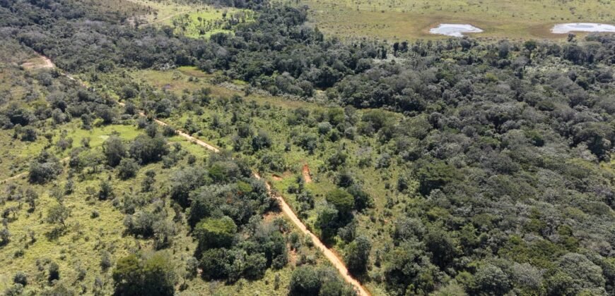 Fazenda 695m – Nascente – Cachoeira – aprox. 23 km de Alto Paraíso de Goiás, 100% Documentada